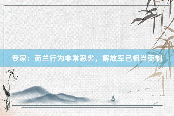 专家：荷兰行为非常恶劣，解放军已相当克制
