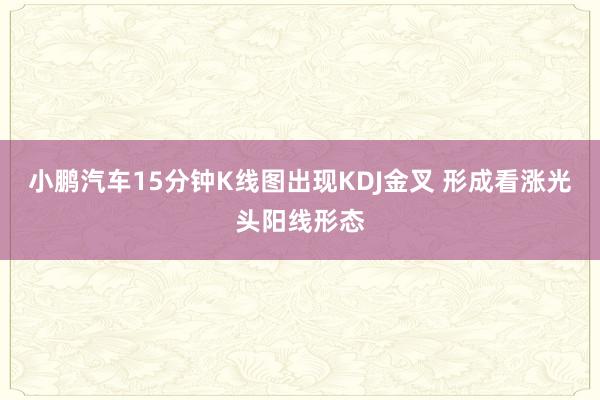 小鹏汽车15分钟K线图出现KDJ金叉 形成看涨光头阳线形态