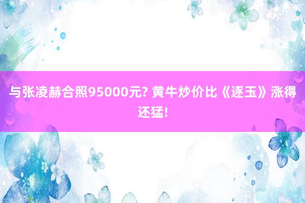 与张凌赫合照95000元? 黄牛炒价比《逐玉》涨得还猛!