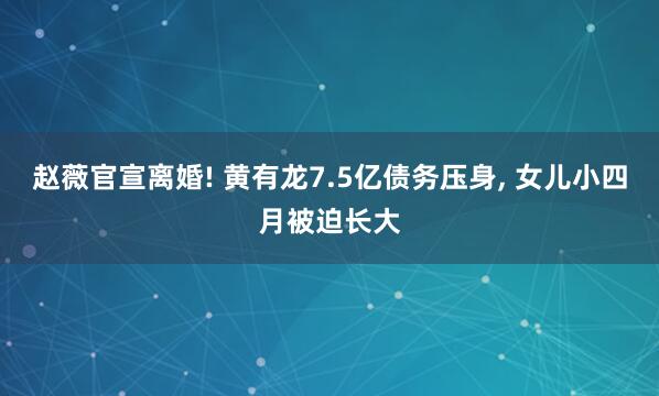 赵薇官宣离婚! 黄有龙7.5亿债务压身, 女儿小四月被迫长大