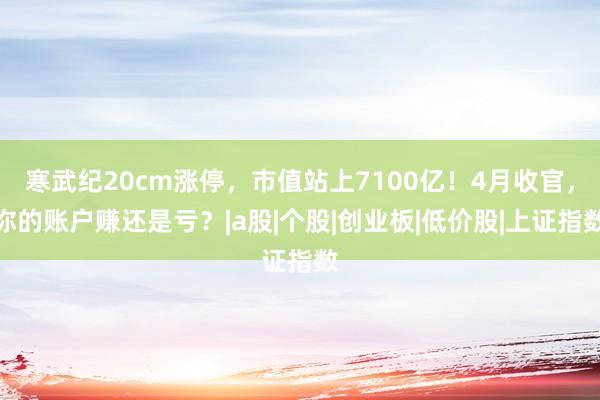 寒武纪20cm涨停，市值站上7100亿！4月收官，你的账户赚还是亏？|a股|个股|创业板|低价股|上证指数