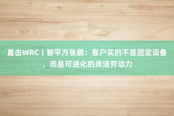 直击WRC丨智平方张鹏：客户买的不是固定设备，而是可进化的灵活劳动力