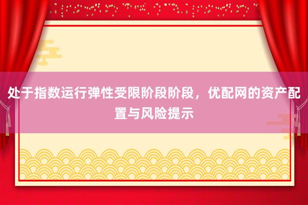 处于指数运行弹性受限阶段阶段，优配网的资产配置与风险提示