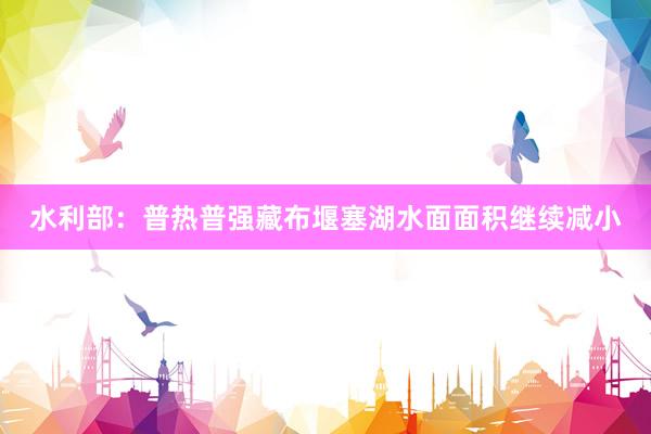 水利部：普热普强藏布堰塞湖水面面积继续减小