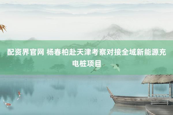 配资界官网 杨春柏赴天津考察对接全域新能源充电桩项目