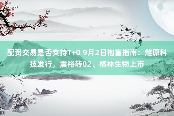 配资交易是否支持T+0 9月2日抱富指南：燧原科技发行，震裕转02、格林生物上市