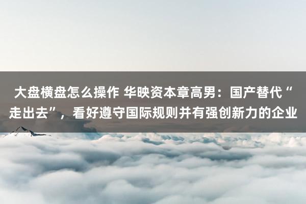 大盘横盘怎么操作 华映资本章高男：国产替代“走出去”，看好遵守国际规则并有强创新力的企业