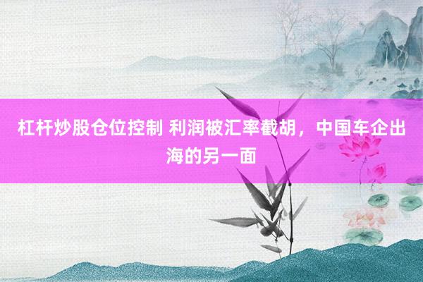 杠杆炒股仓位控制 利润被汇率截胡，中国车企出海的另一面