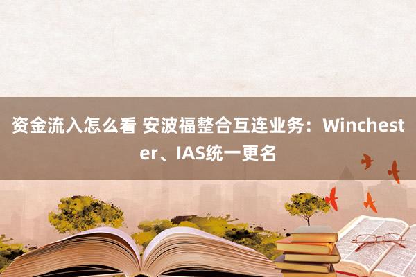 资金流入怎么看 安波福整合互连业务：Winchester、IAS统一更名