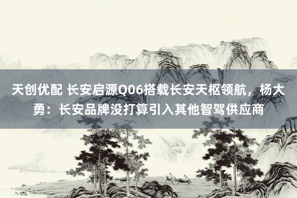 天创优配 长安启源Q06搭载长安天枢领航，杨大勇：长安品牌没打算引入其他智驾供应商