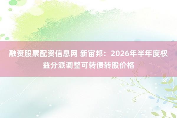 融资股票配资信息网 新宙邦：2026年半年度权益分派调整可转债转股价格