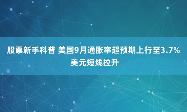股票新手科普 美国9月通胀率超预期上行至3.7% 美元短线拉升