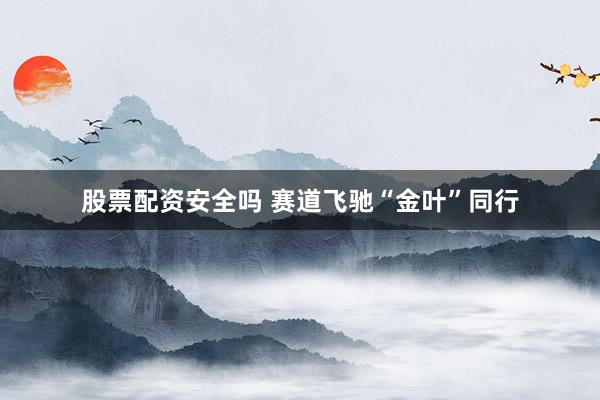 股票配资安全吗 赛道飞驰“金叶”同行